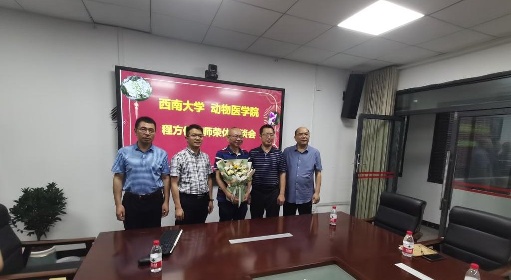 bevictor1946韦德官网为程方俊老师举行退休座谈会